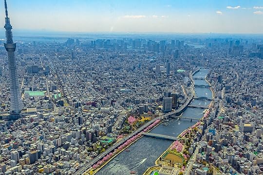 View from helicopter at cherry blossom trees in Tokyo