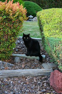 Panzer says, Let's see what else I can find.