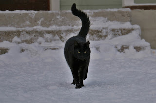 Panzer says, I'm ready for this month to be over.