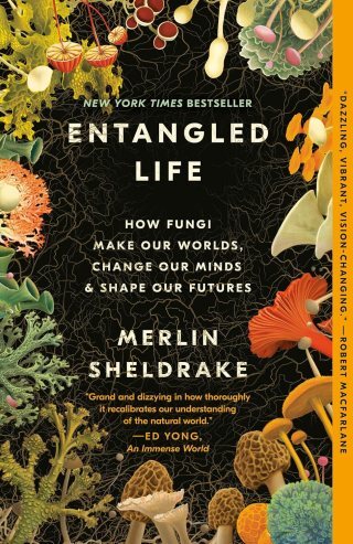 Cordyceps, the Carpenter Ant, and the Boundaries of the Self: The Strange Science of Zombie Fungi