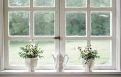 Window with plants on the sill