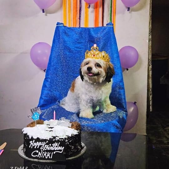 Shih Tzu First Year Birthday Celebration - for Chikki