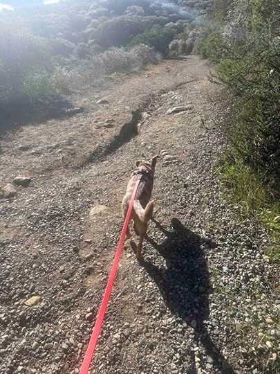 on the Lake Poway Trail