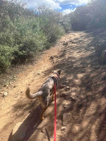 on the Mount Woodson Trail