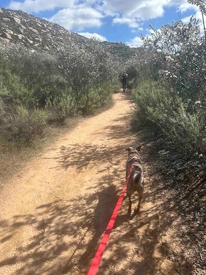 somewhat flat section of the trail