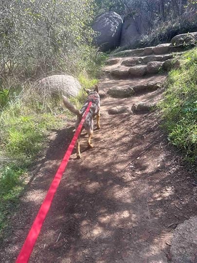up the steps on the Mount Woodson Trail