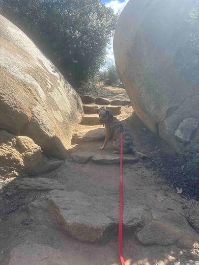 Sunny between two rocks