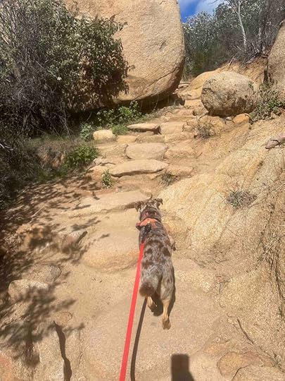 more steps at the Mount Woodson Trail