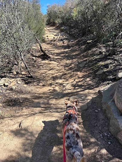 almost to Mount Woodson Trail summit