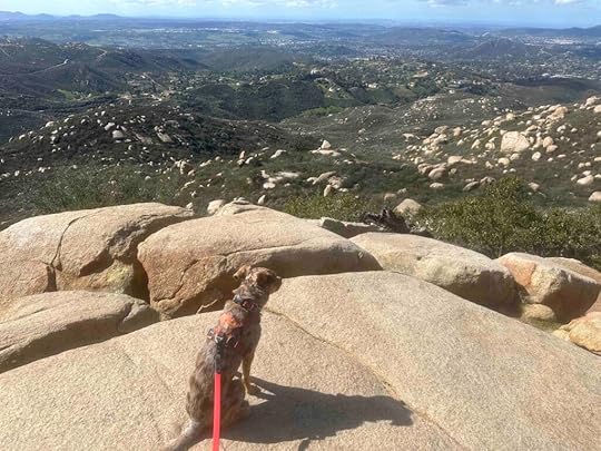 views near the summit