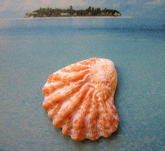 Kinason Sea Shell 1x1 - Jasmine x Kanomi Okina Showing 1-50 of 232