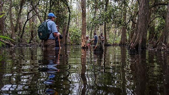 swamp walking group in florida