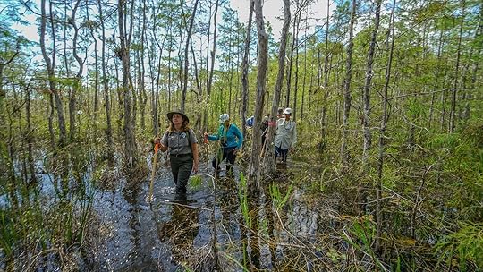 ranger and hikers swamp walking in florida