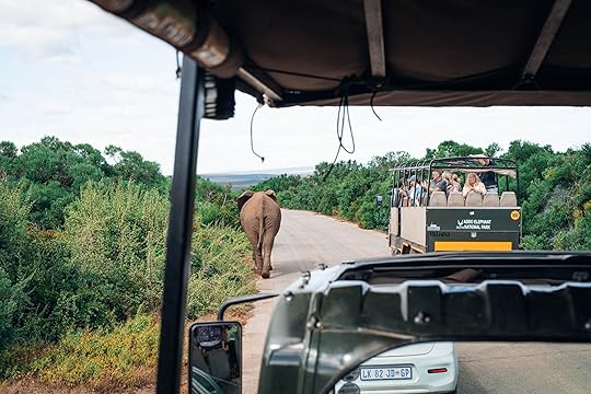 game drive in addo