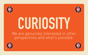 curiosity high performance work teams