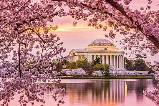 dc cherry blossom festival - good golden hour pic