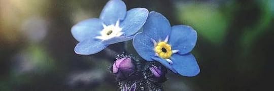 Recensione di Nei suoi panni di Isabella Milani