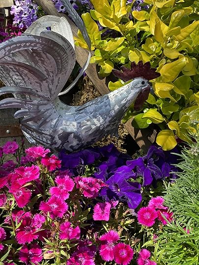 Rooster character found in amongst the flowers at Knott's Berry Farm