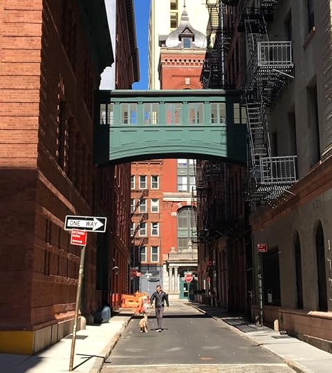 Staple Street, New York City, 2024