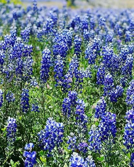 Let It Be Sunday, 459!