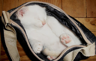 If I fit, it's mine.