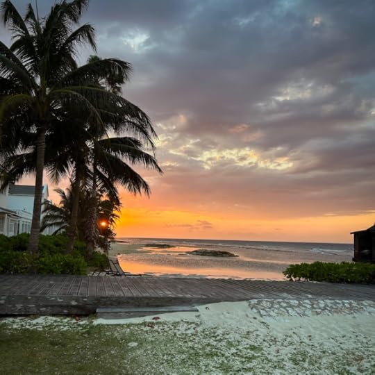 a sunset over the ocean with palm trees framing the photo