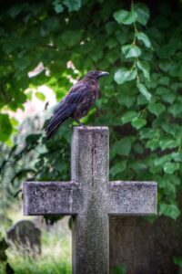 crow at cemeteryestate planning