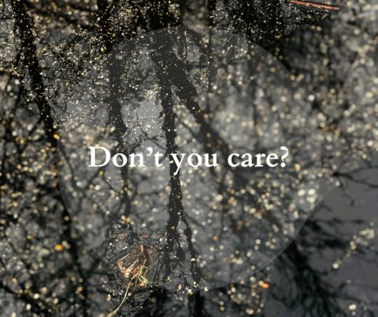 photo of bare tree branches reflected in a dark puddle of water with a circle in the middle and text in the circle that says Don't You Care?