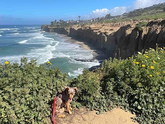 Sunset Cliffs Natural Park