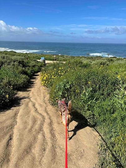 Sunset Cliffs Natural Park trail