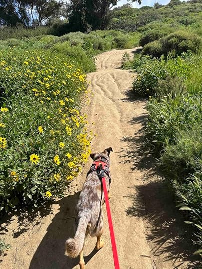 Sunset Cliffs Natural Park trail