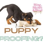 how to puppy proof