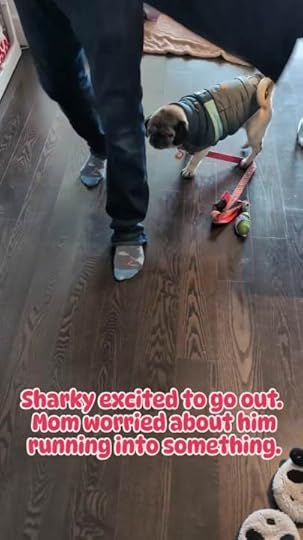 sharky-mission-impossible-mp4