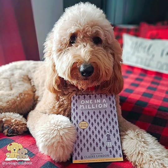 A Golden Doodle is lying on a bed with a softcover book between her front paws. The one is a graphic novel entitled One in a Million by Claire Lorton.