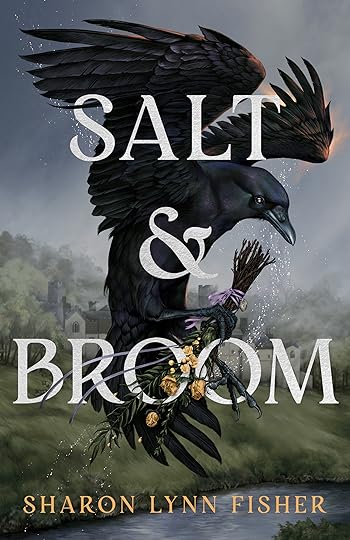 Salt & Broom book cover