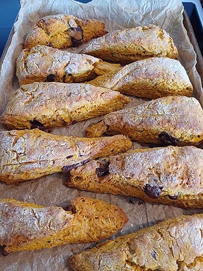 A row of triangular scones on a baking tray, slightly orange, studded with dark chocolate and dusted with flour.