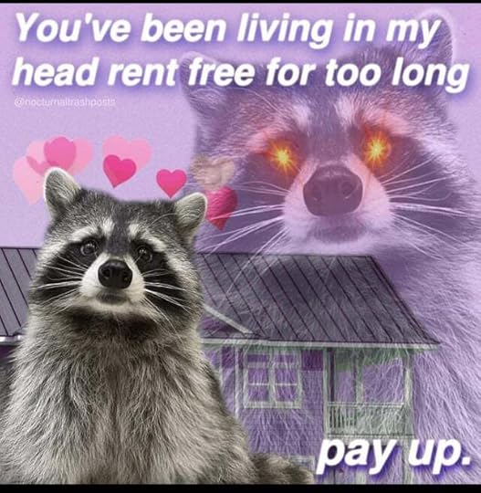 MY FAVORITE RACCOON MEMES (@nocturnaltrashposts on insta) : r/Raccoons