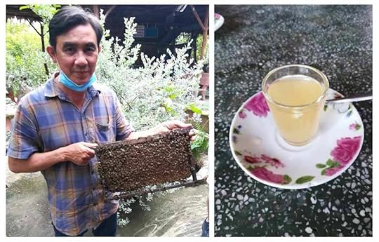 Honey and Honey Tea at the Bee Farm