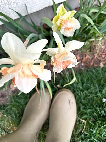Repleteswelliesgarden24