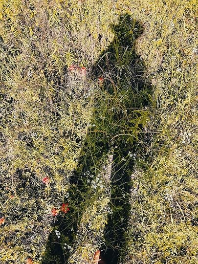 Let It Be Sunday, 460! 