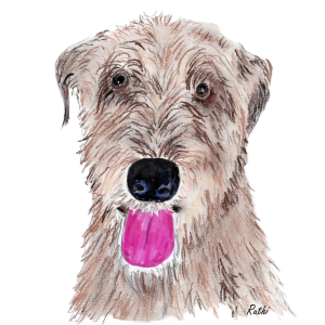 LOVING IRISH WOLFHOUND