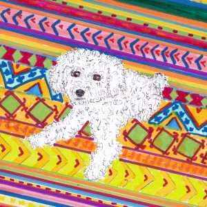 A little dog gonna love you.