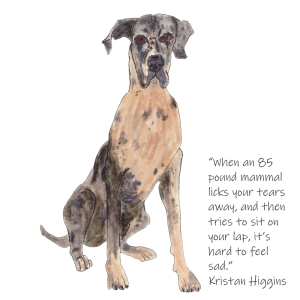 Quote from dog lovers - When we're sad and a big dog climbs on our lap