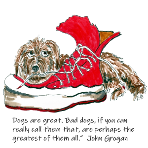 QUOTES FROM DOG LOVERS - DOGS ARE GREAT