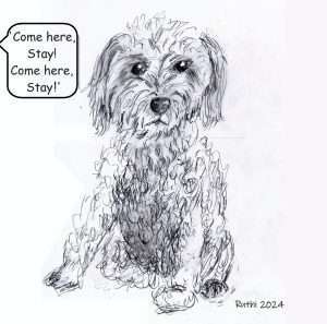 Funny quotes FROM DOG LOVERS - Puppy named Stay