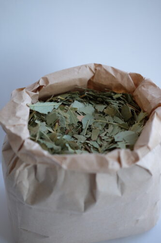 Eucalyptus - Thee.be