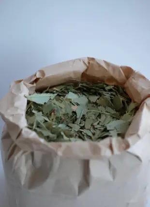 gedroogde eucalyptus thee