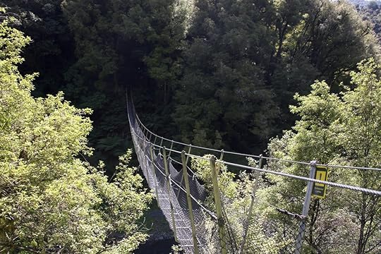 50 days in forest