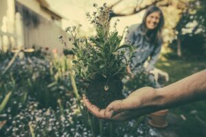 A woman planting