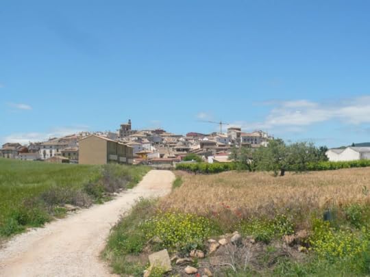Best books about the Camino